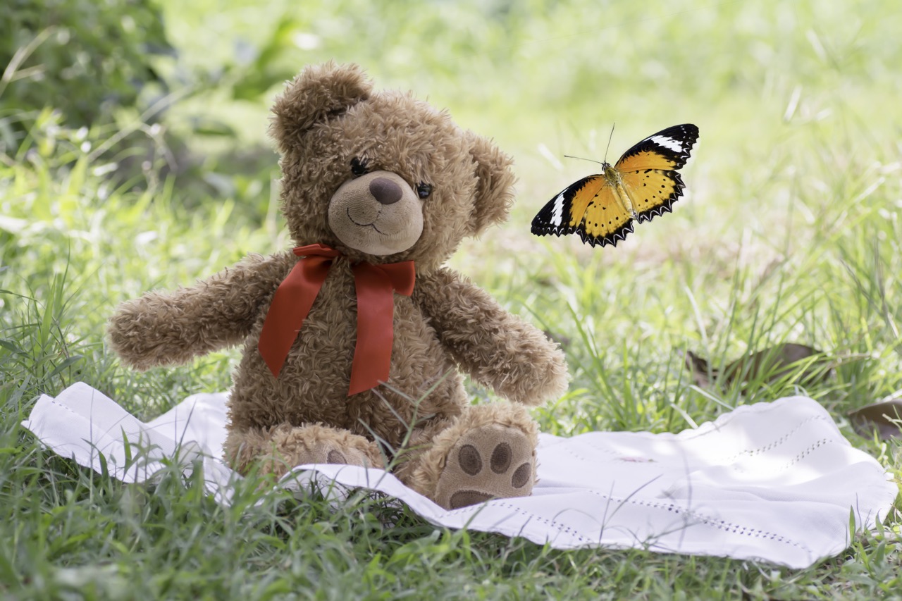 teddy bear with butterfly